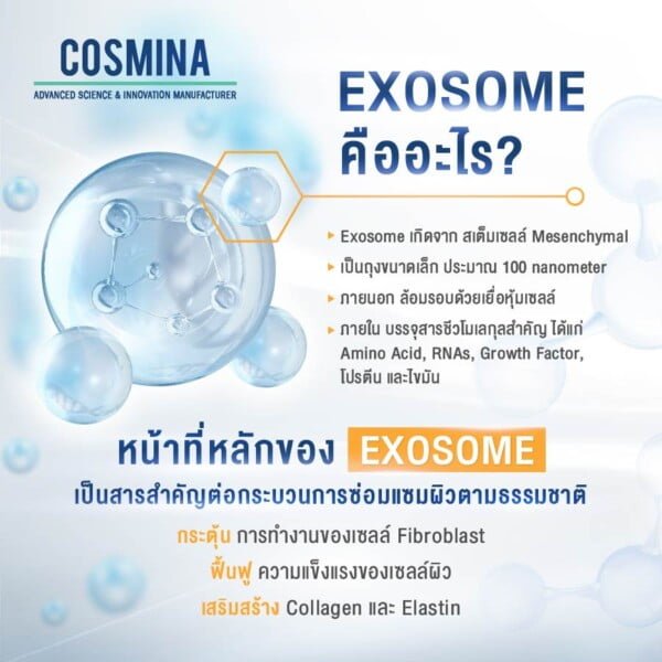 Exosome คืออะไร