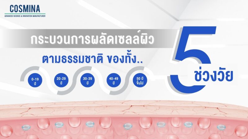 กระบวนการผลัดเซลล์ผิว
