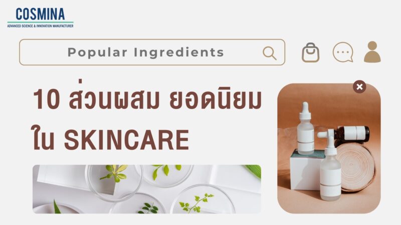 10 ส่วนผสมยอดนิยม ใน Skincare
