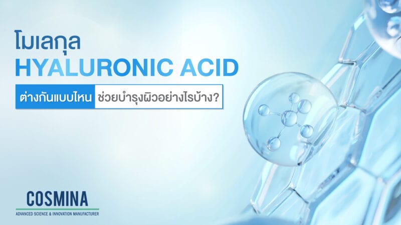 โมเลกุล Hyaluronic Acid