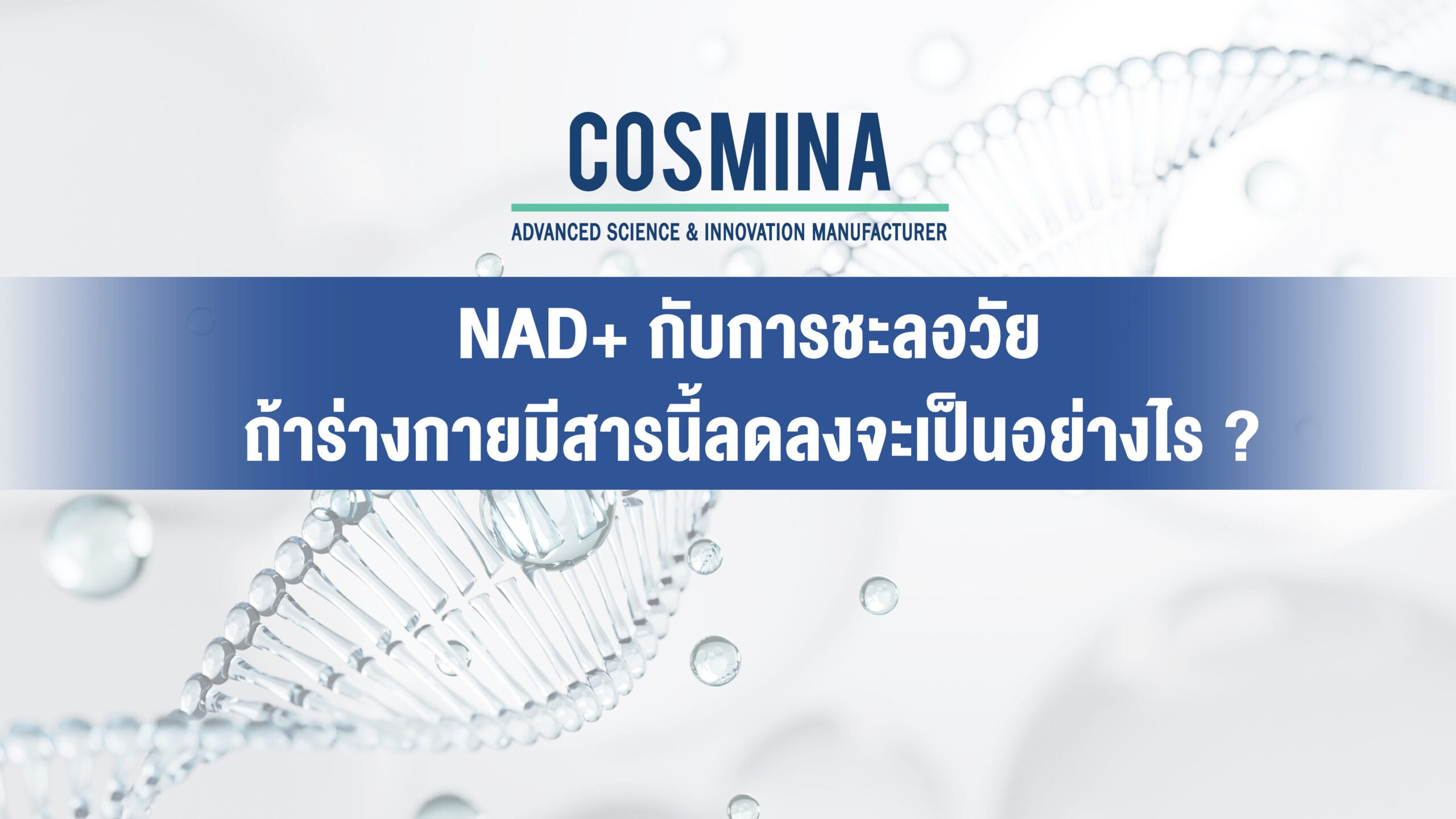 NAD+