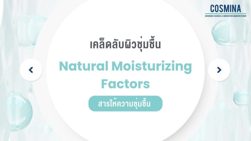 สารให้ความชุ่มชื้น