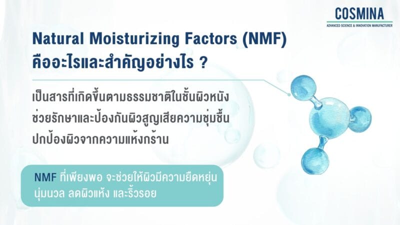 สารให้ความชุ่มชื้น NMF