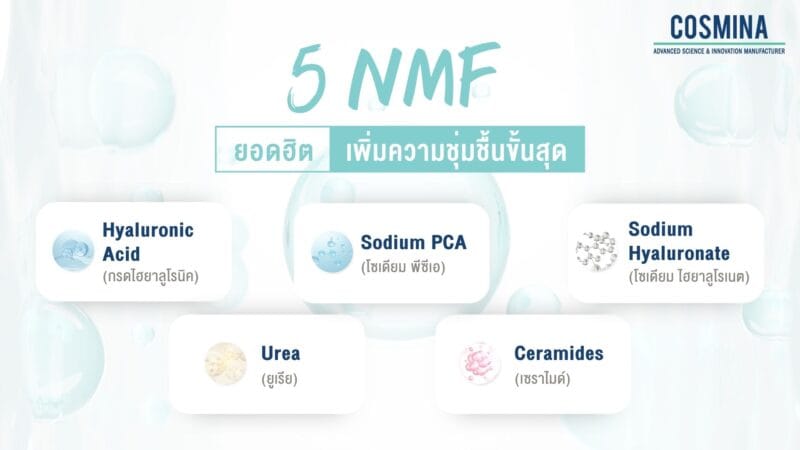 ส่วนผสมให้ความชุ่มชื้น