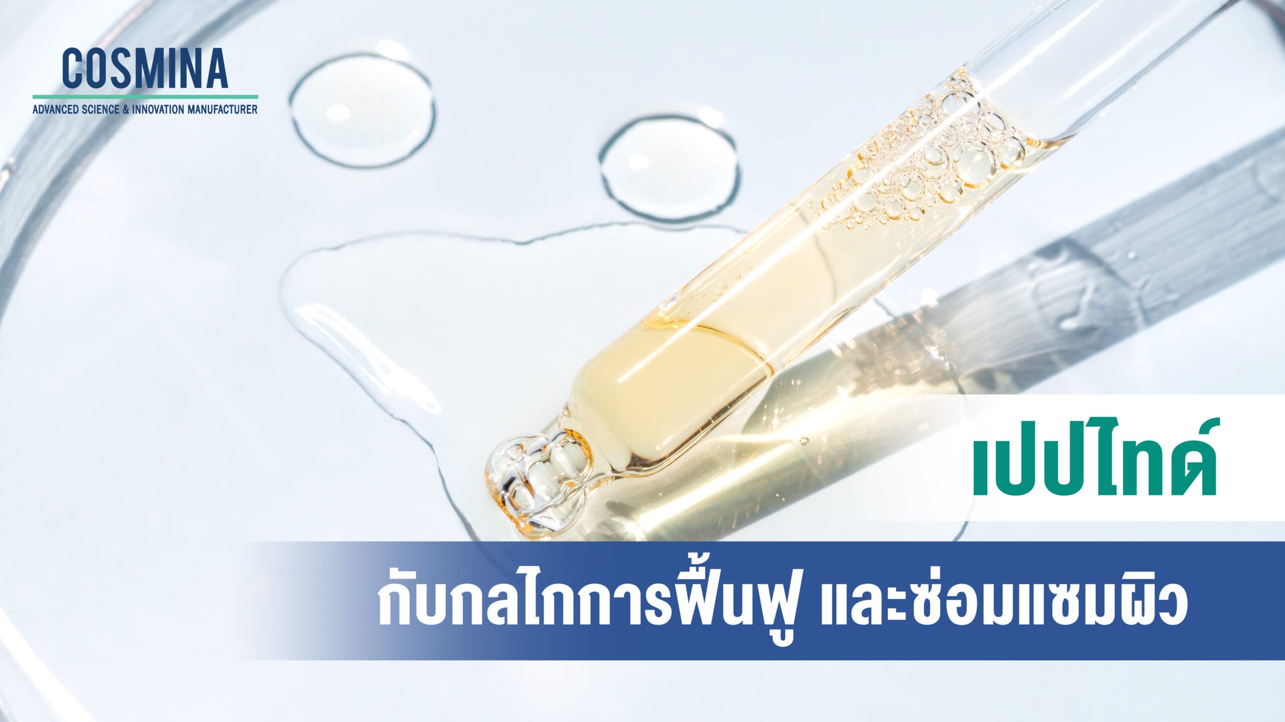 เปปไทด์