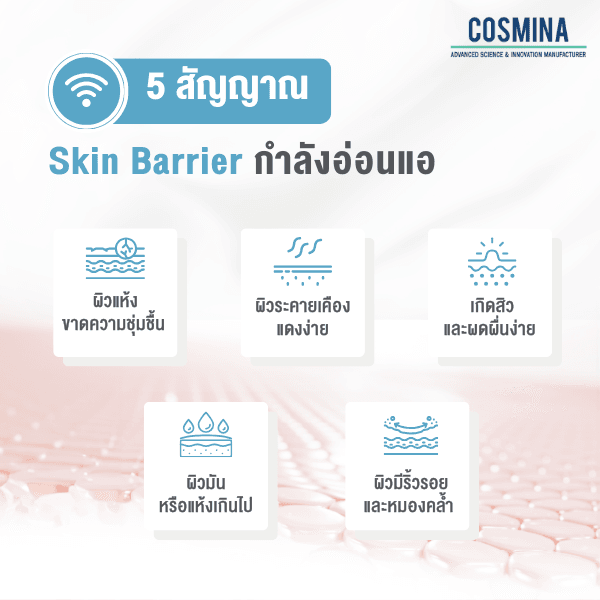 5 สัญญาณ Skin Barrier กำลังอ่อนแอ