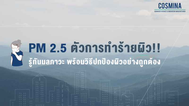 PM 2.5 คือตัวการทำร้ายผิว