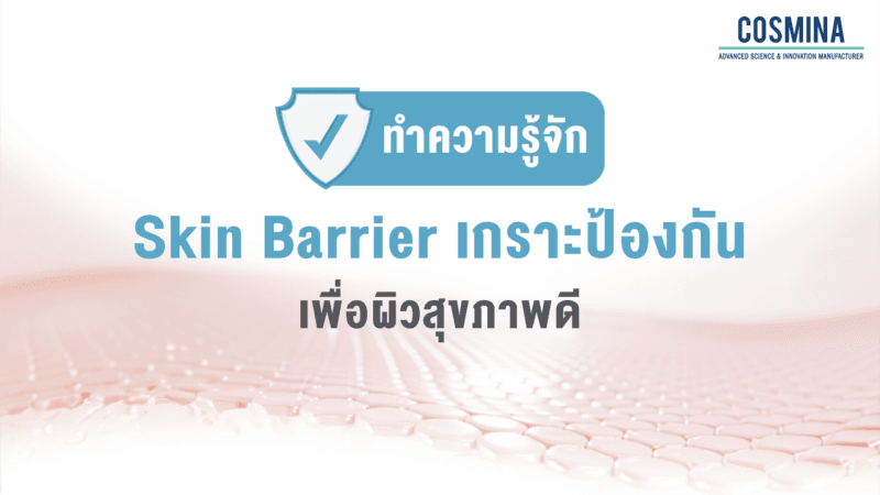 รู้จัก Skin Barrier