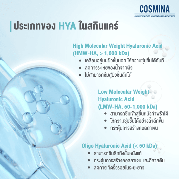 ประเภท HYA