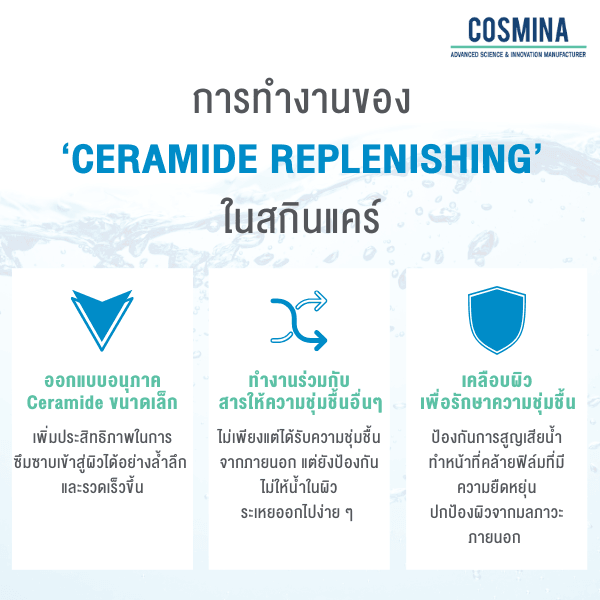 การทำงานของ Ceramide Replenishing