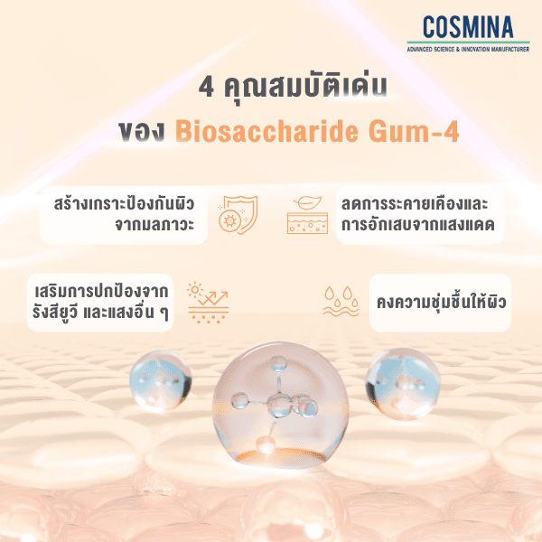 4 คุณสมบัติเด่น ของ Biosaccharide Gum-4