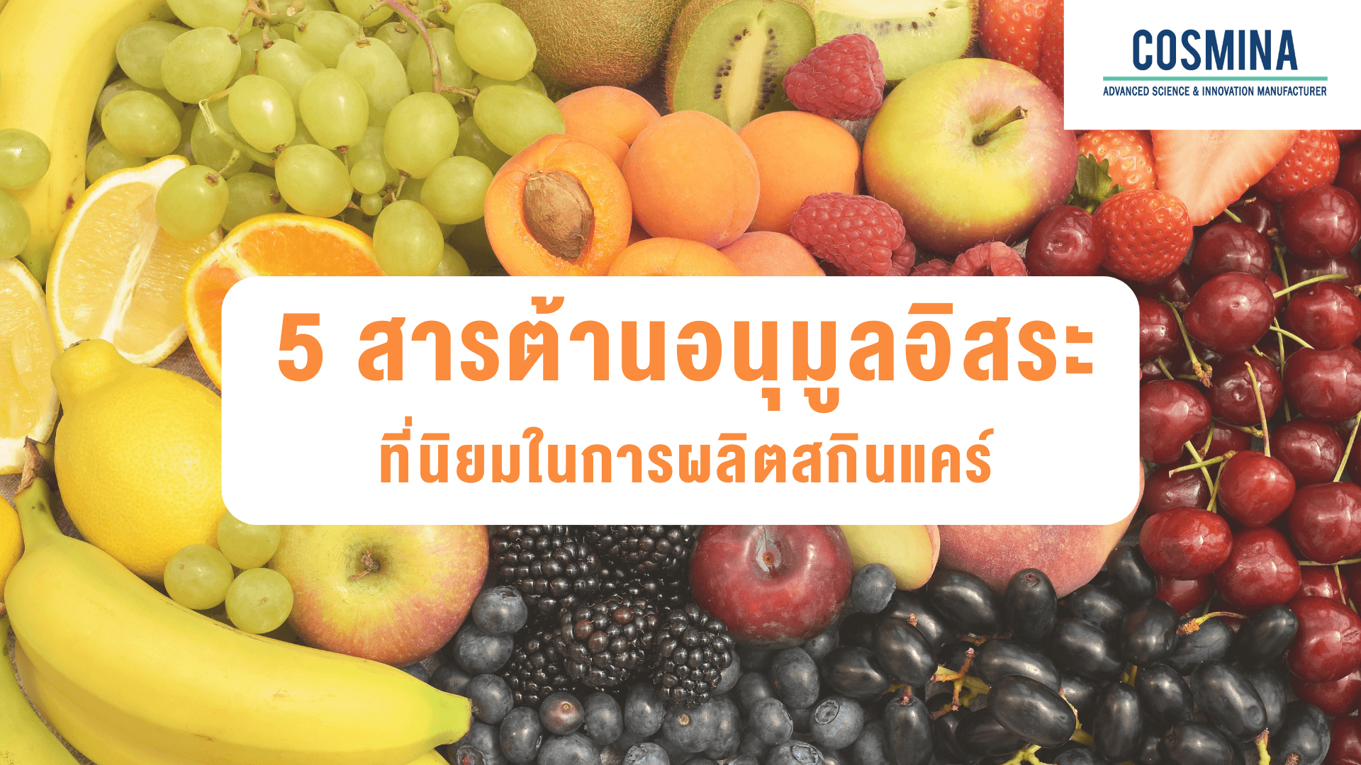 สารต้านอนุมูลอิสระ