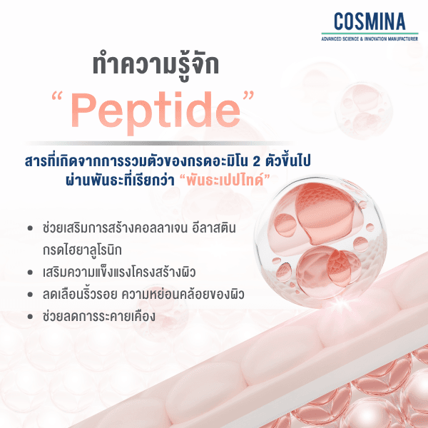 ทำความรู้จัก “Peptide”