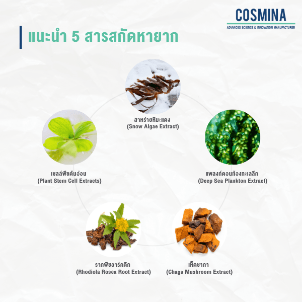 แนะนำ 5 สารสกัดหายาก