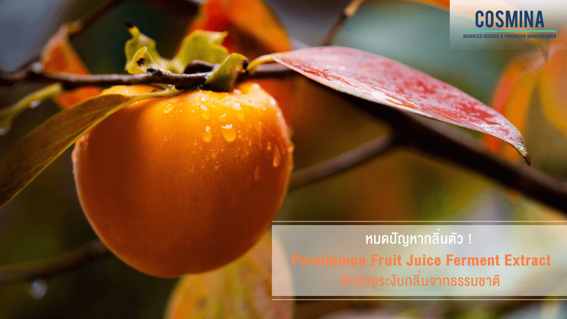 ลดกลิ่นตัว