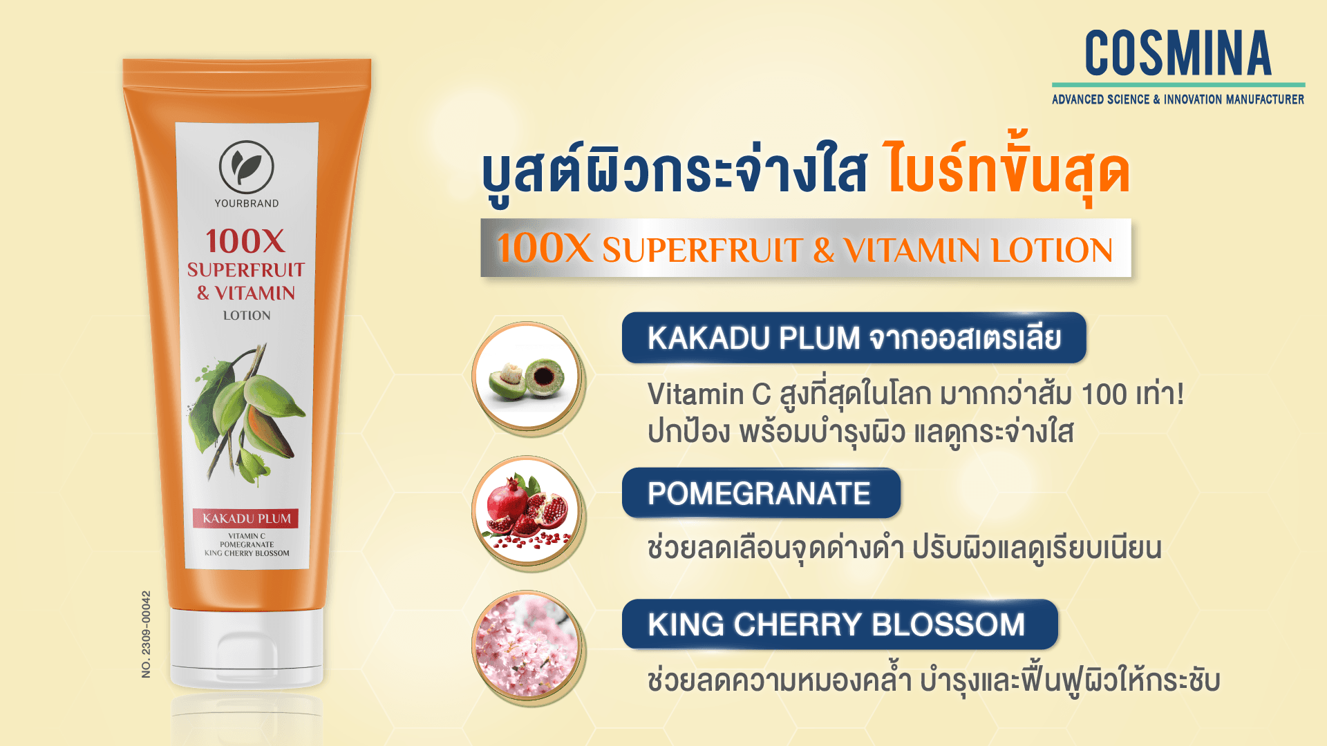 TH-Banner-100x Superfruit Vitamin