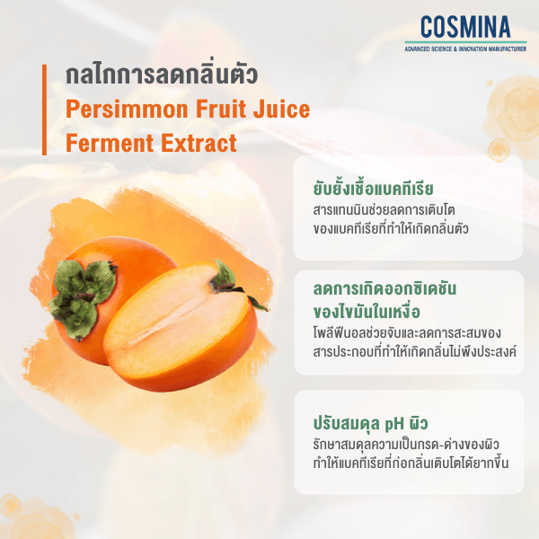 กลไกการลดกลิ่นตัว Persimmon Fruit Juice Ferment Extract