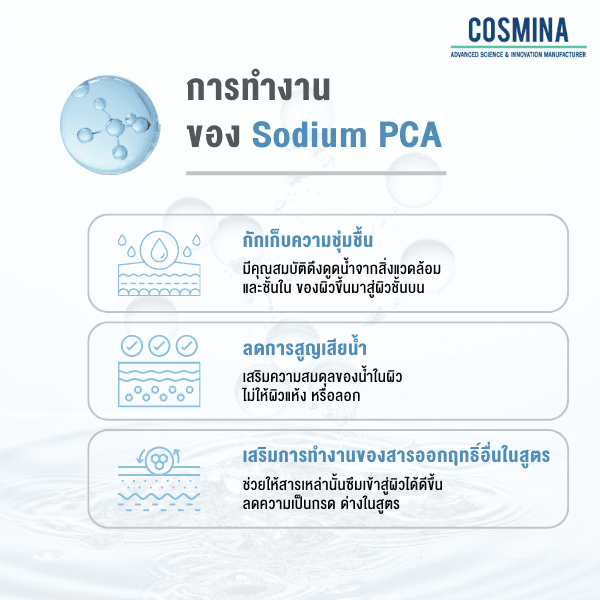 การทำงาน ของ Sodium PCA