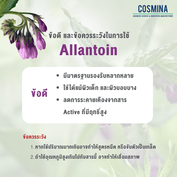 ข้อดี และข้อควรระวังในการใช้ Allantoin