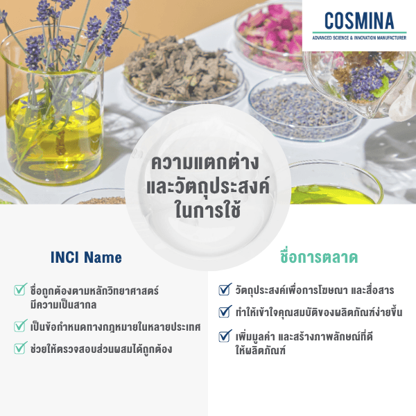 ความแตกต่าง และวัตถุประสงค์การใช้