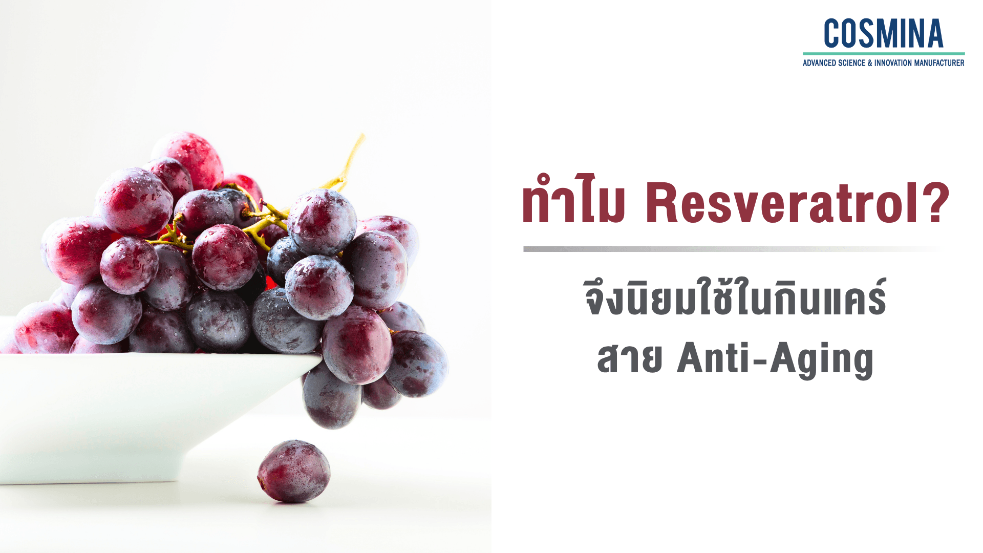 Resveratrol คือ