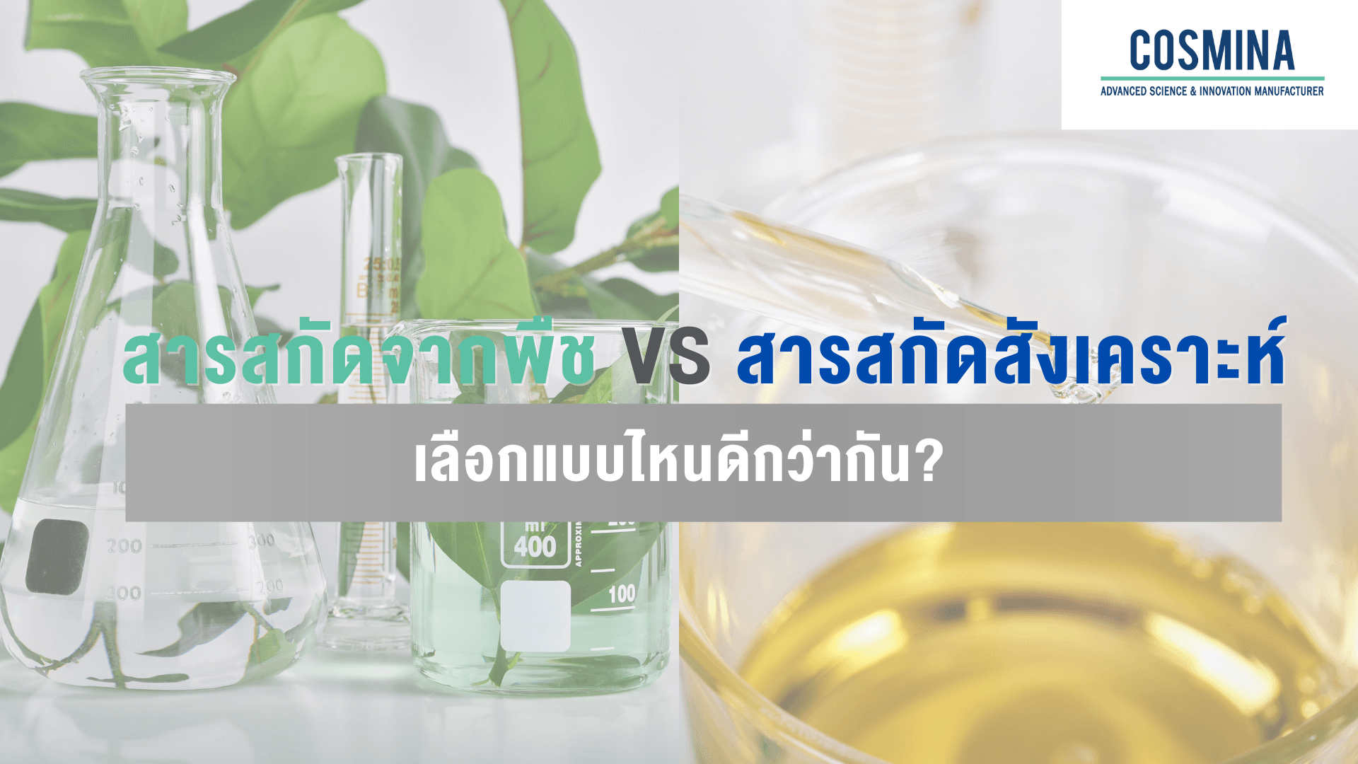 สารสกัดจากพืช