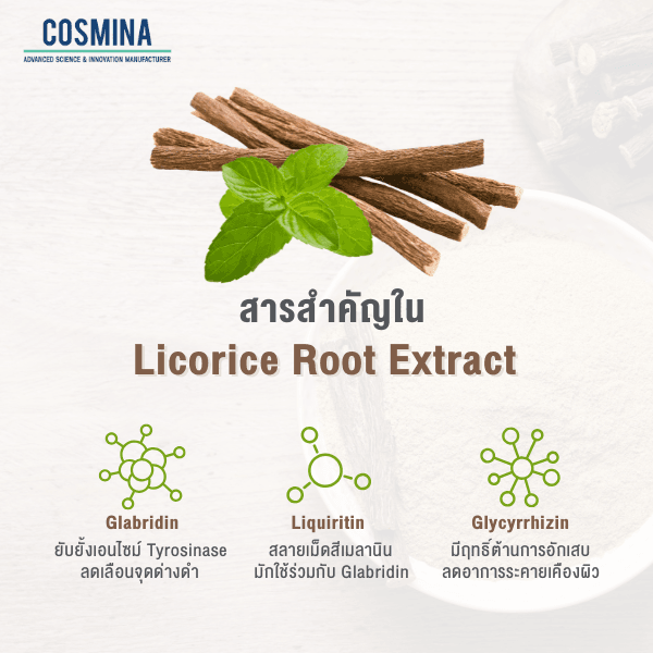 สารสำคัญใน Licorice Root Extract