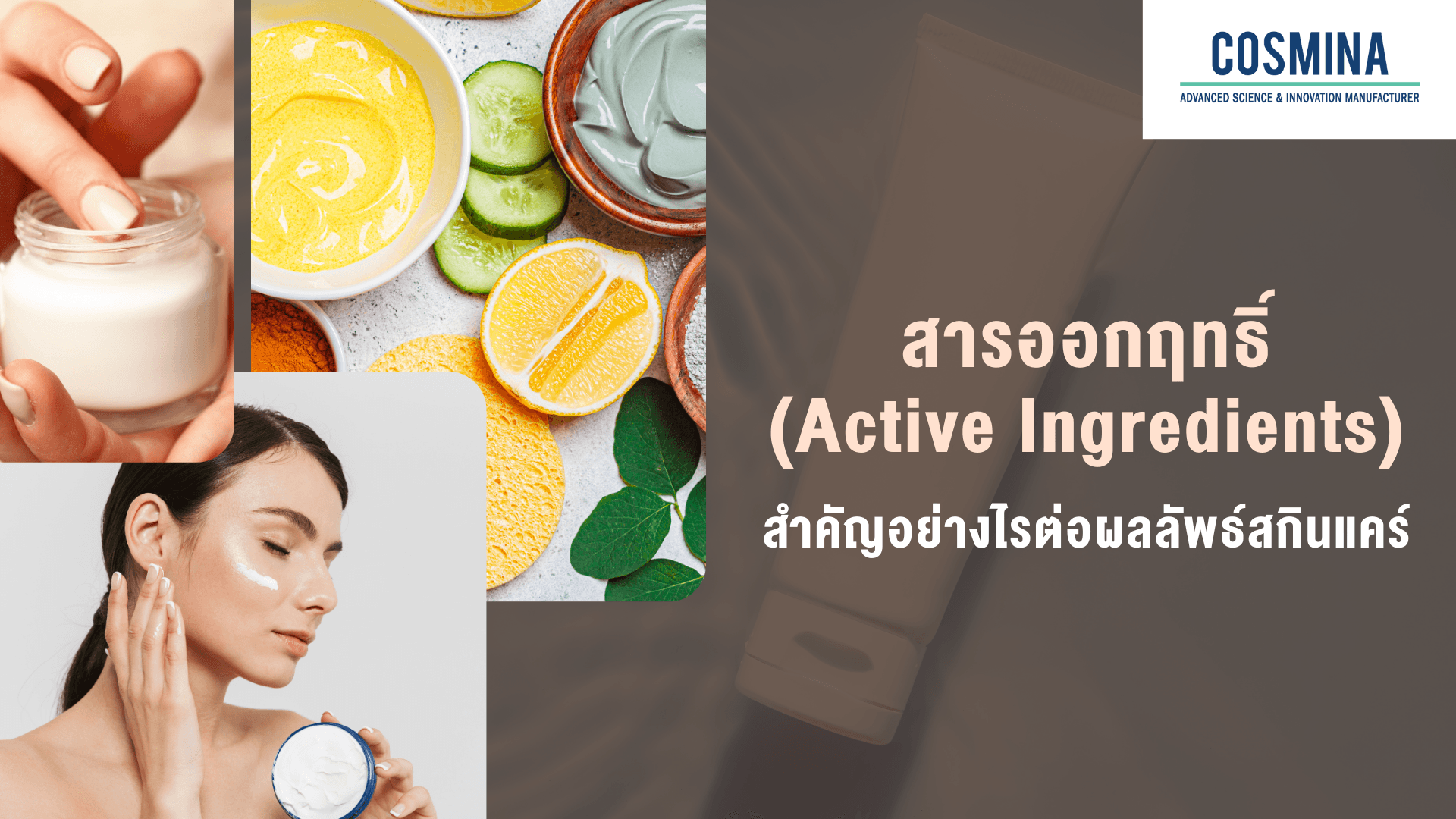 สารออกฤทธิ์