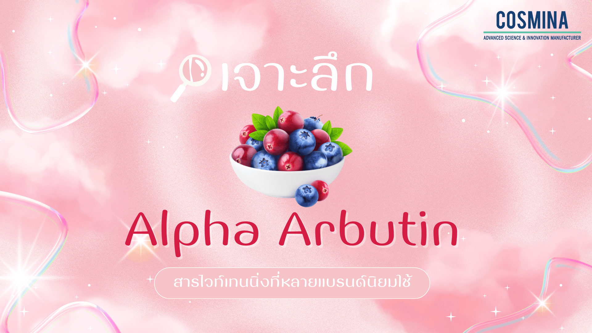 Alpha Arbutin ช่วยอะไร ?