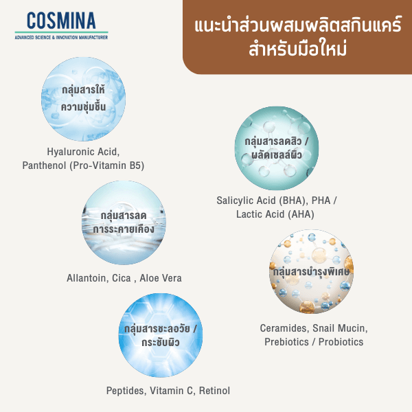 แนะนำส่วนผสมผลิตสกินแคร์ สำหรับมือใหม่
