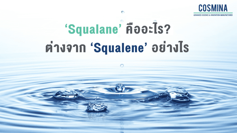 Squalane คือ