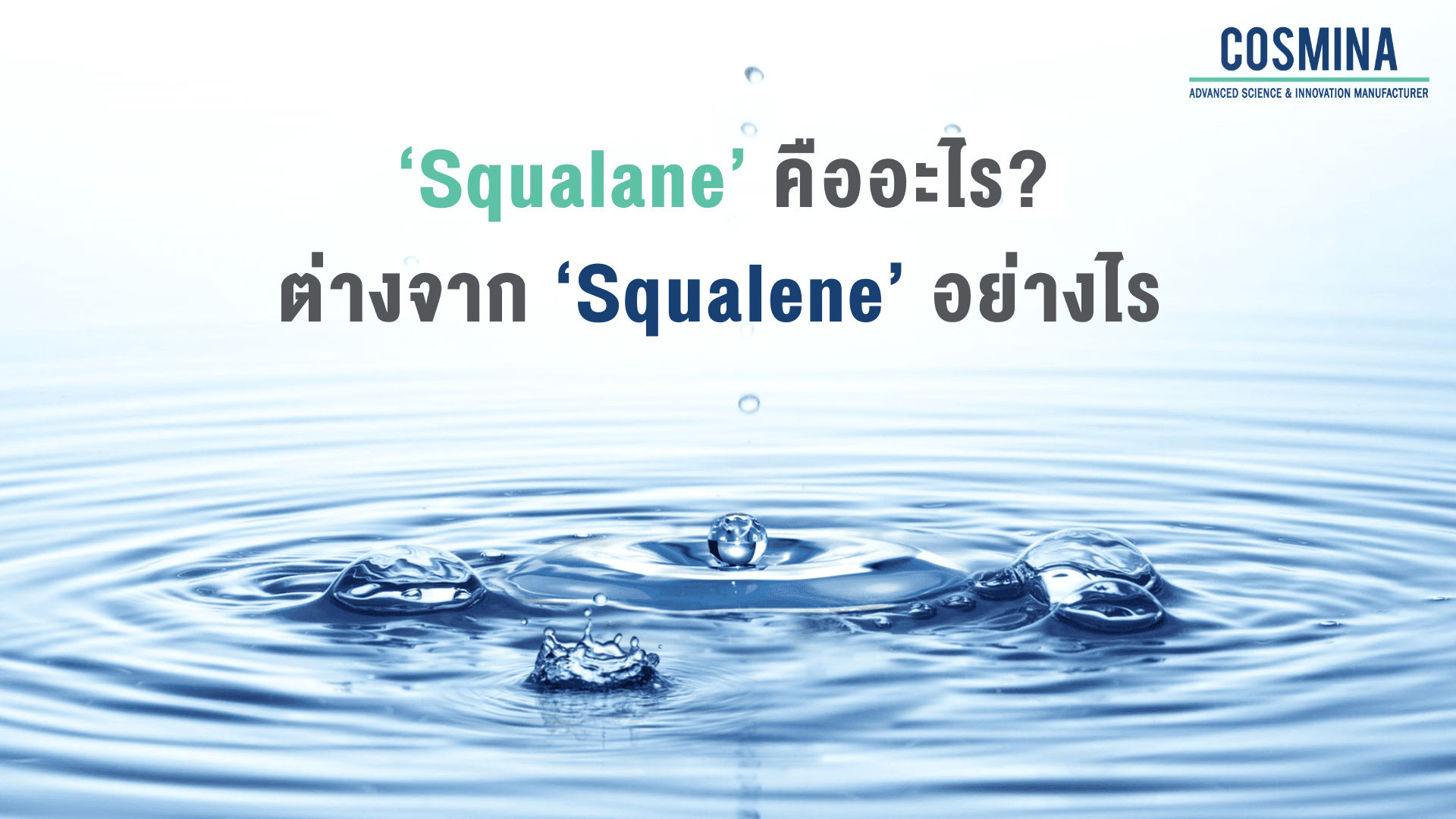 Squalane คือ