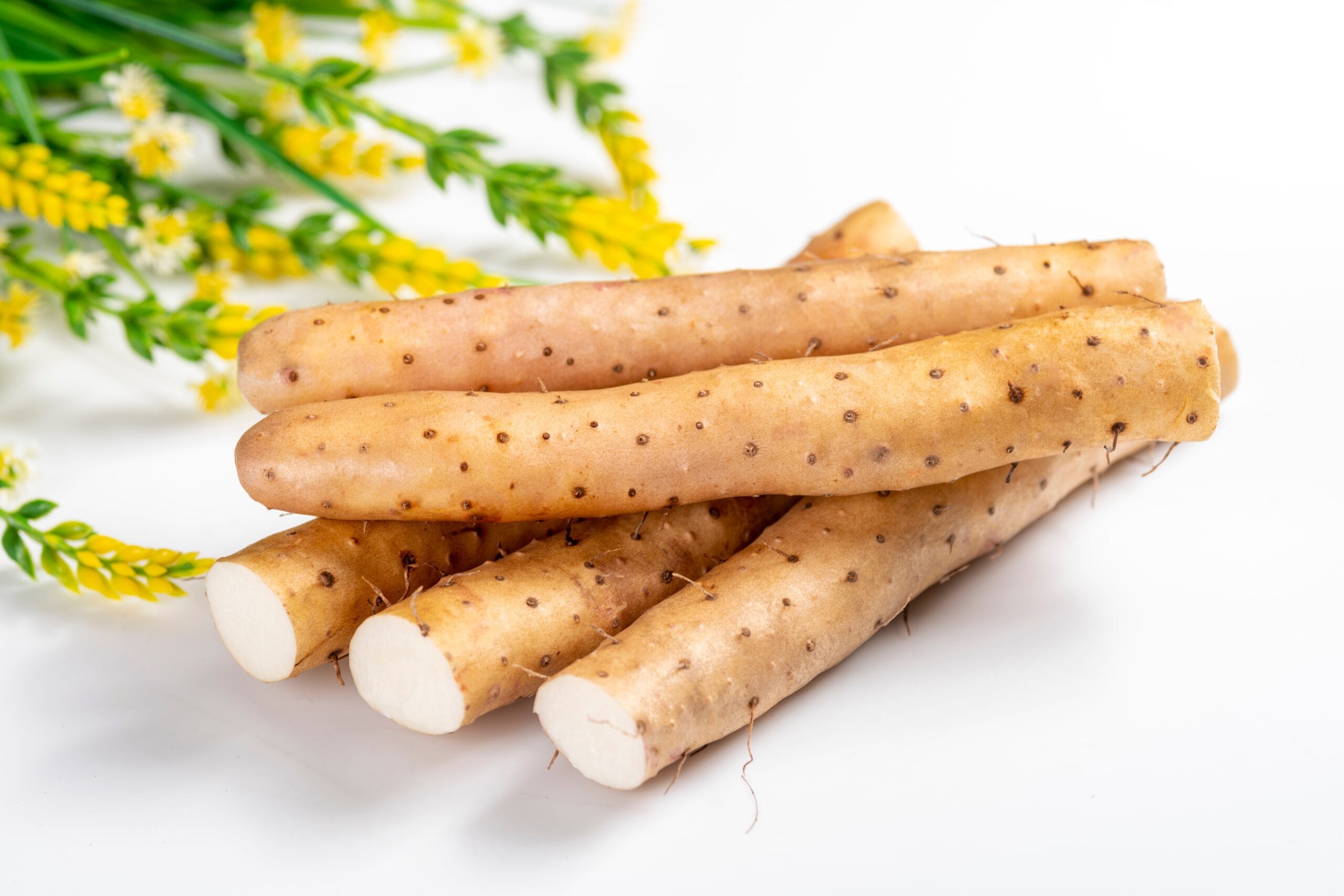 Dioscorea Villosa (Wild Yam) Root Extract