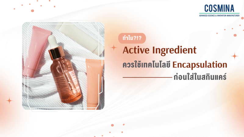 เทคโนโลยี Encapsulation