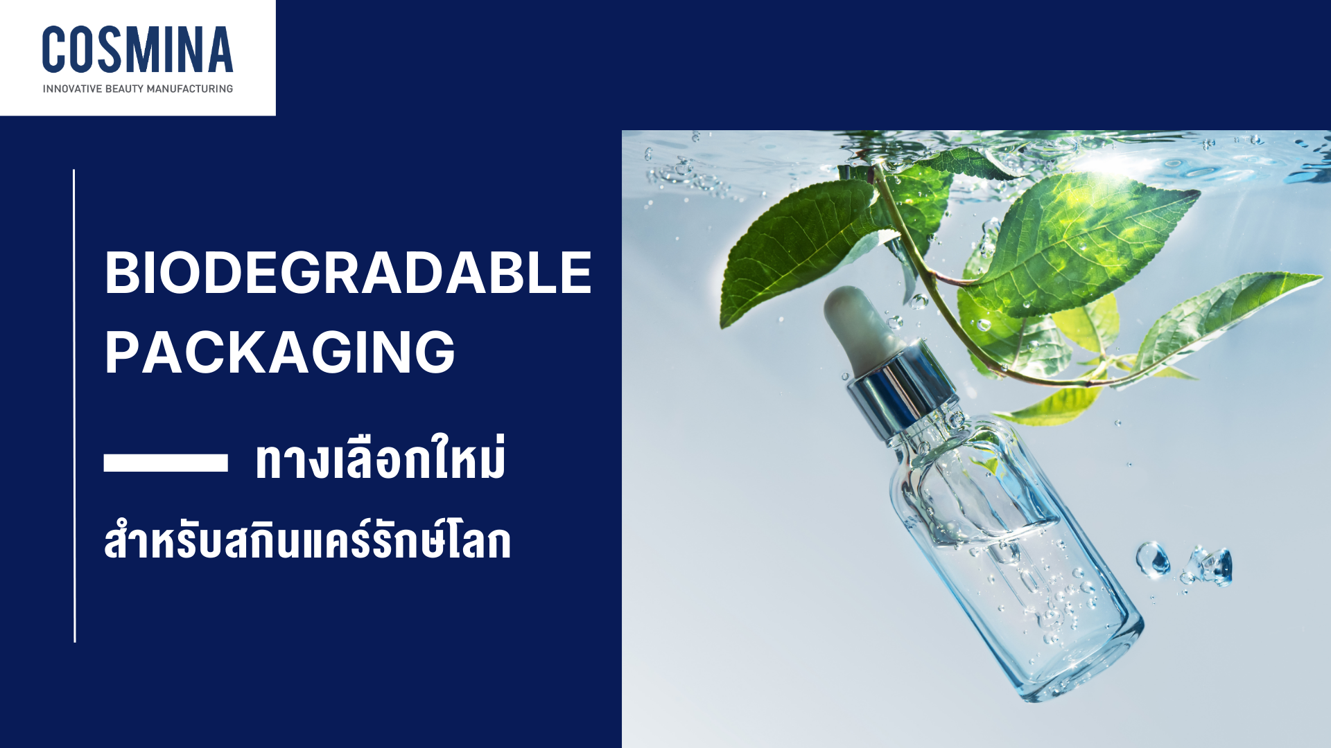 Biodegradable Packaging คือ