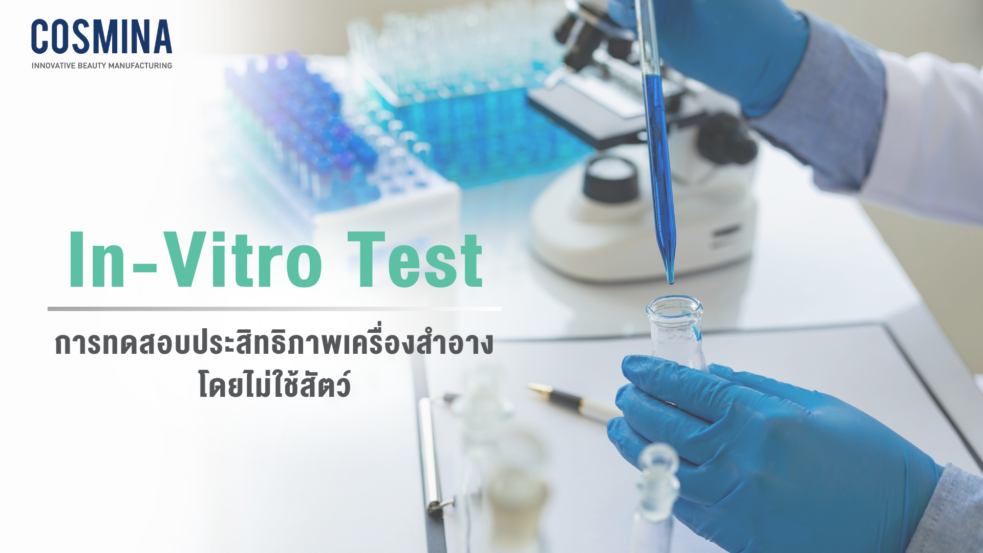 In vitro Test
