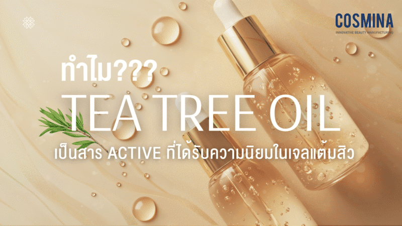 Tea Tree Oil คือ