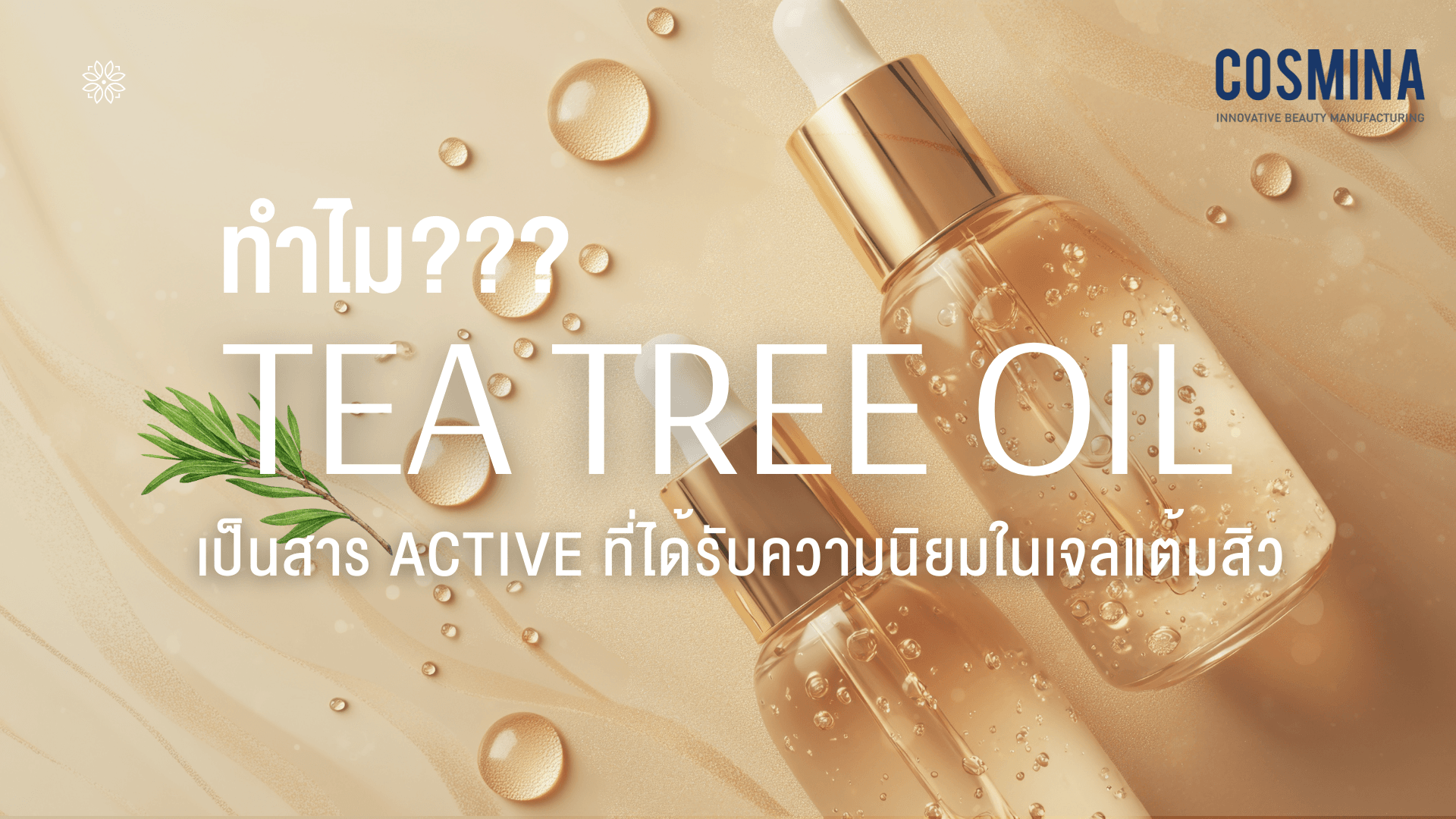 Tea Tree Oil คือ