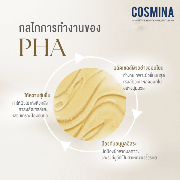 กลไกการทำงานของ PHA