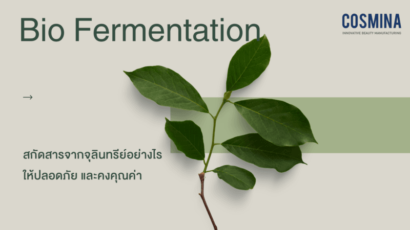 Bio Fermentation