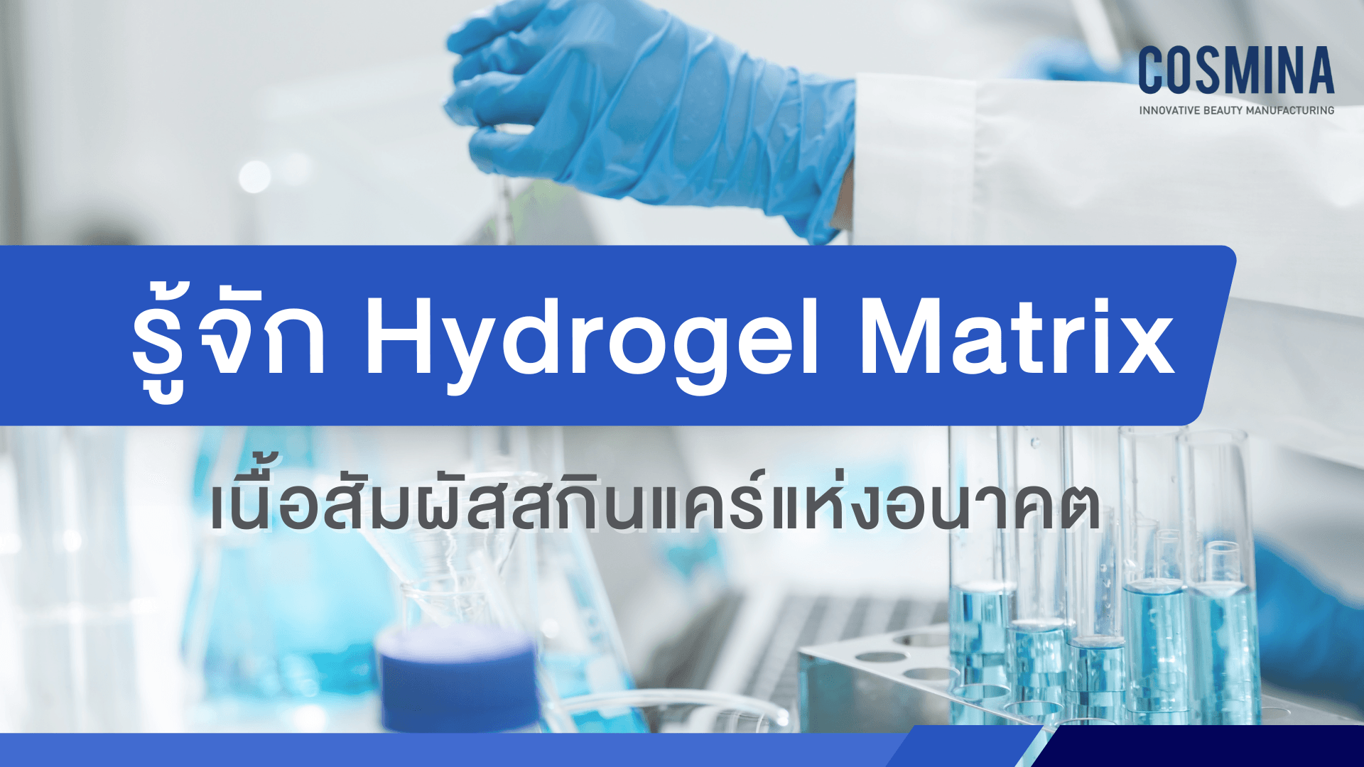 Hydrogel Matrix