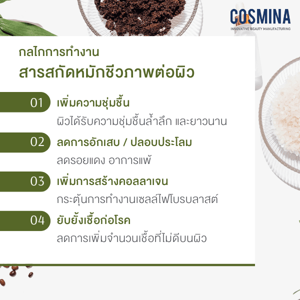 กลไกการทำงาน