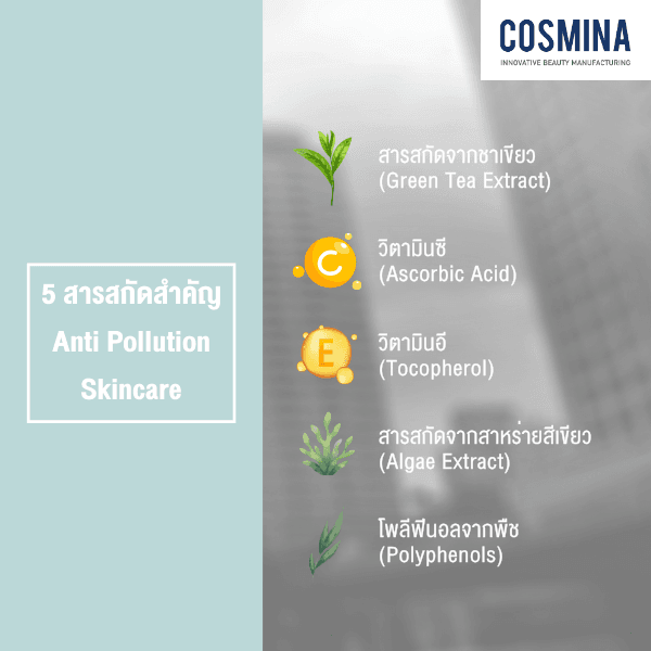 5 สารสกัดสำคัญ Anti Pollution Skincare