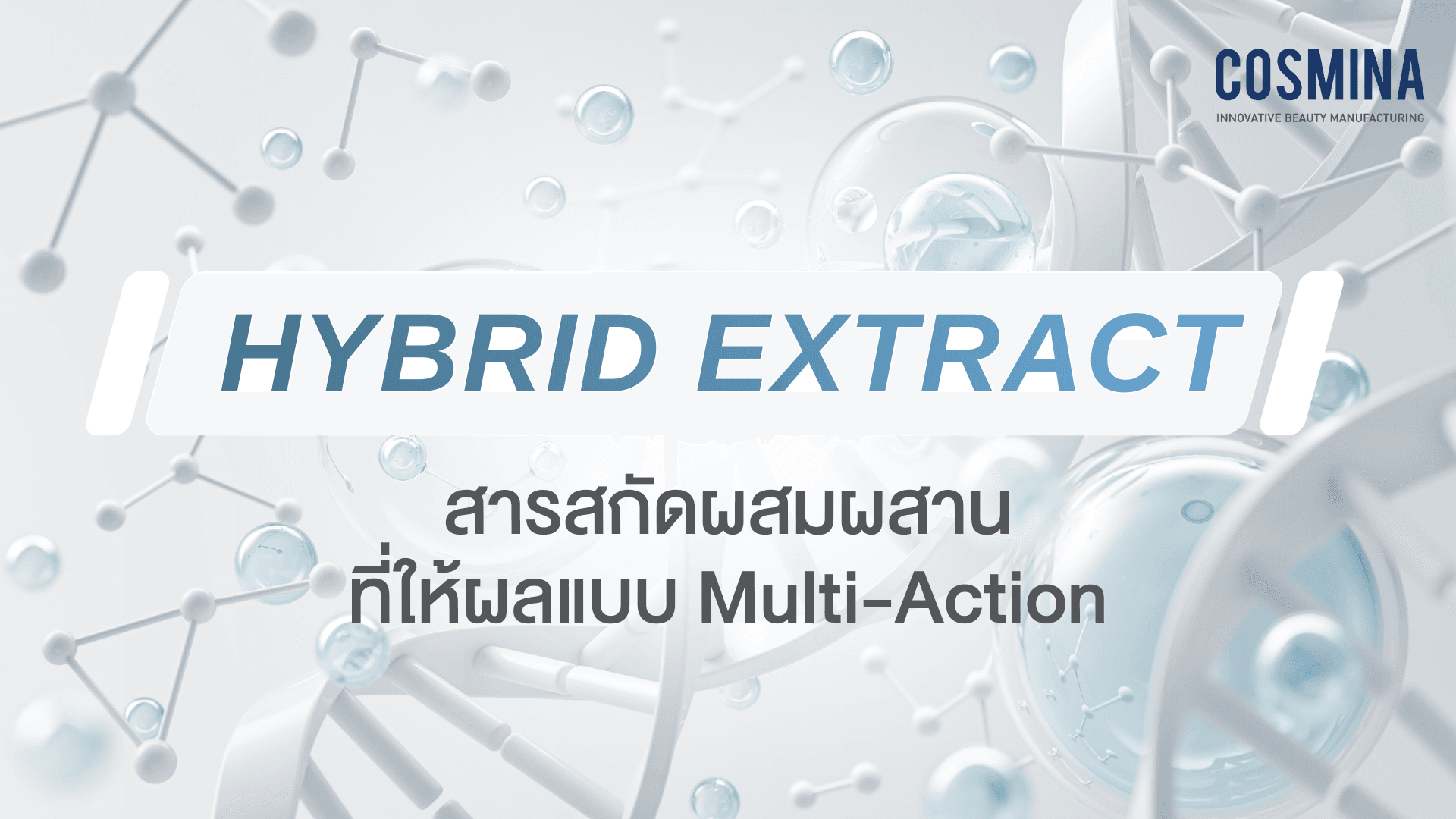 Hybrid Extract