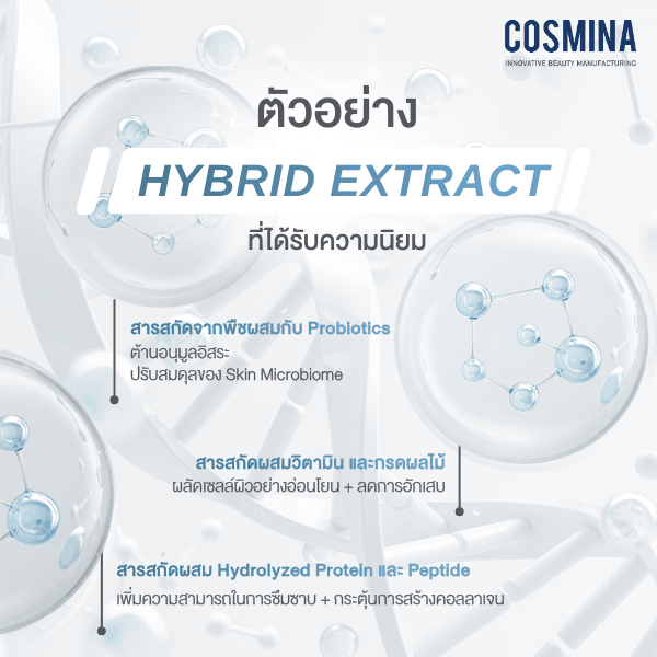 ตัวอย่าง Hybrid Extract