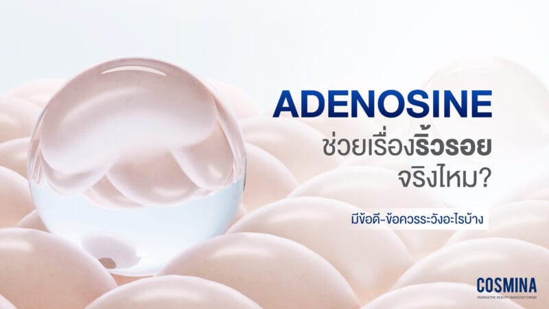 Adenosine คือ