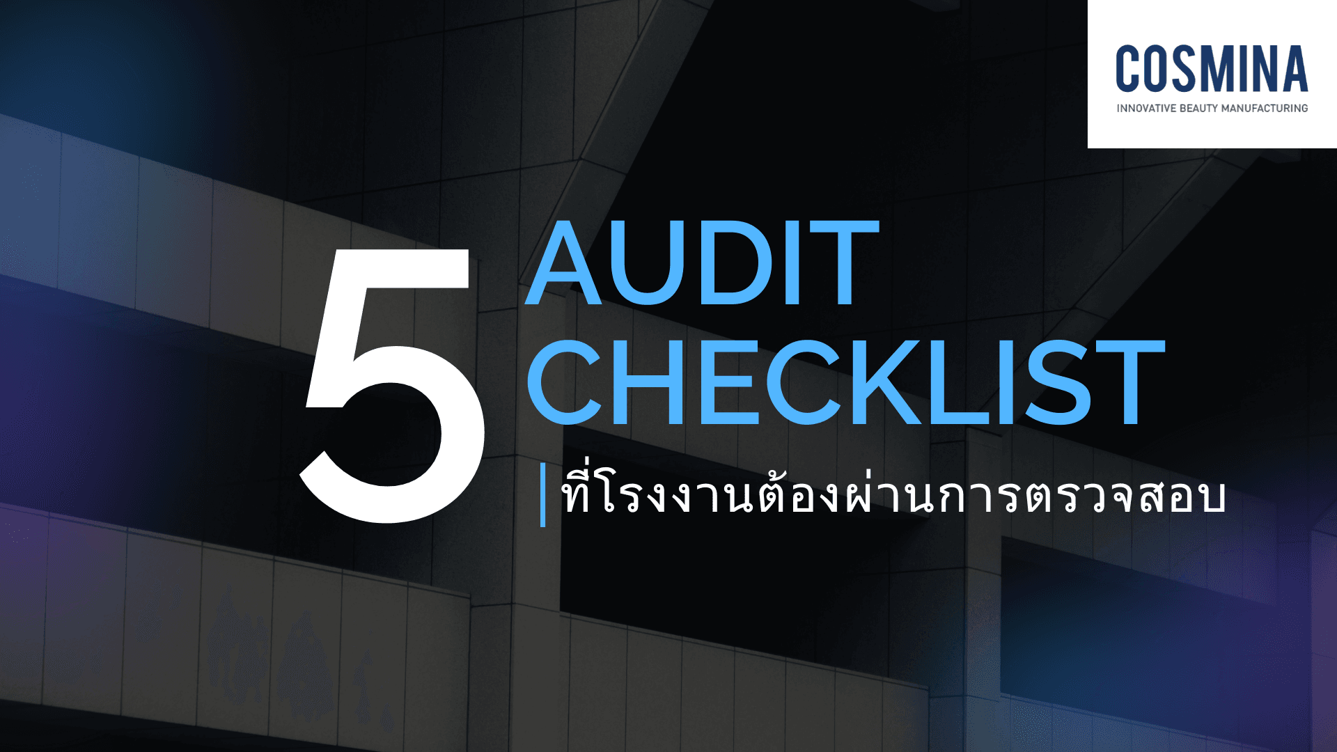 Audit Checklist