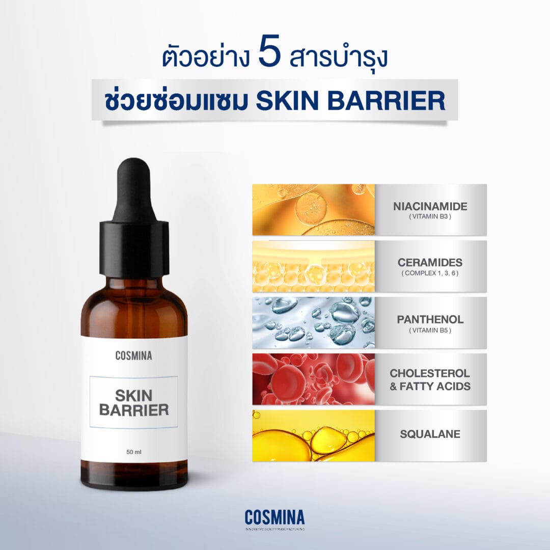 Cosmina_Barrier Repair