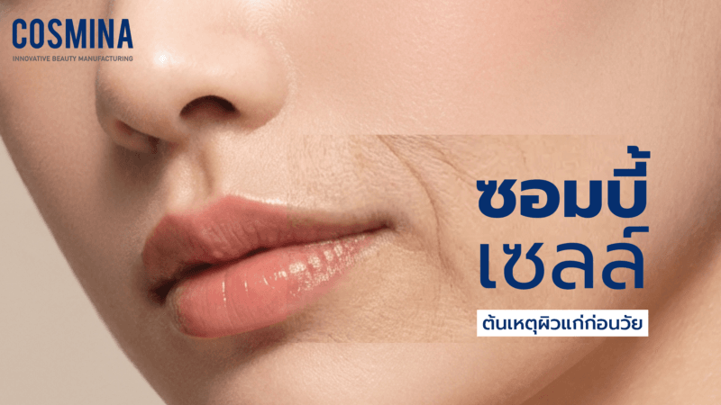 ซอมบี้เซลล์