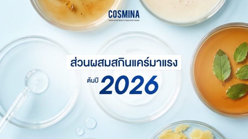 ส่วนผสมสกินแคร์